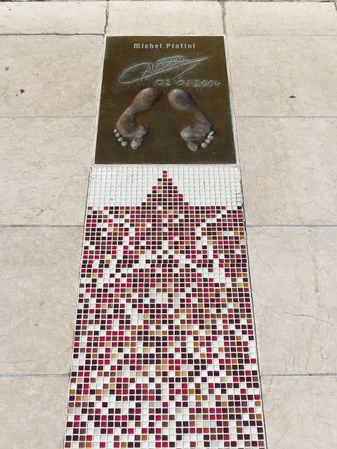 迅速占据主 迅速占据主