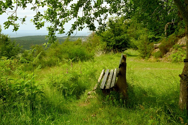 除了技术和 除了技术和