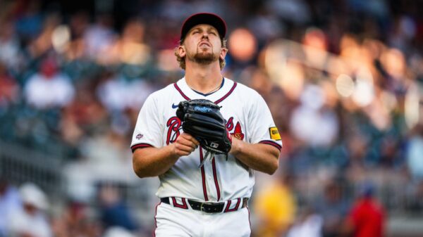 马来西亚羽 马来西亚羽